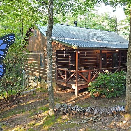 Laurel Creek- Blue Ridge Vila Exterior foto