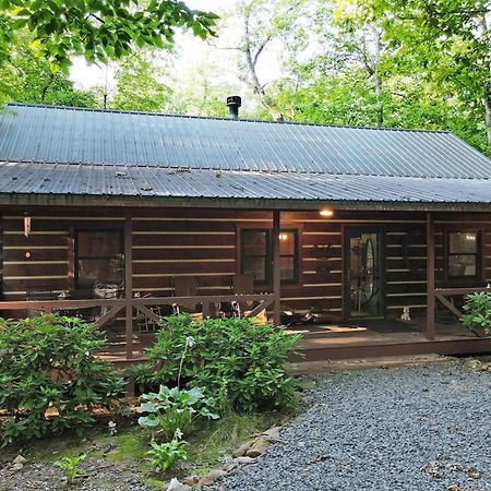 Laurel Creek- Blue Ridge Vila Exterior foto